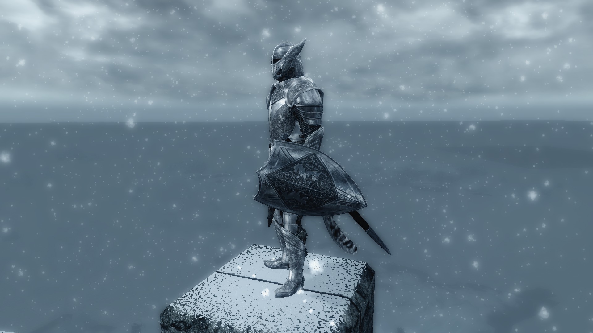 SPOA Silver Knight Shield @rights reserved D.F.